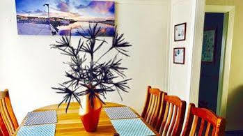 Guest house On Main 3*